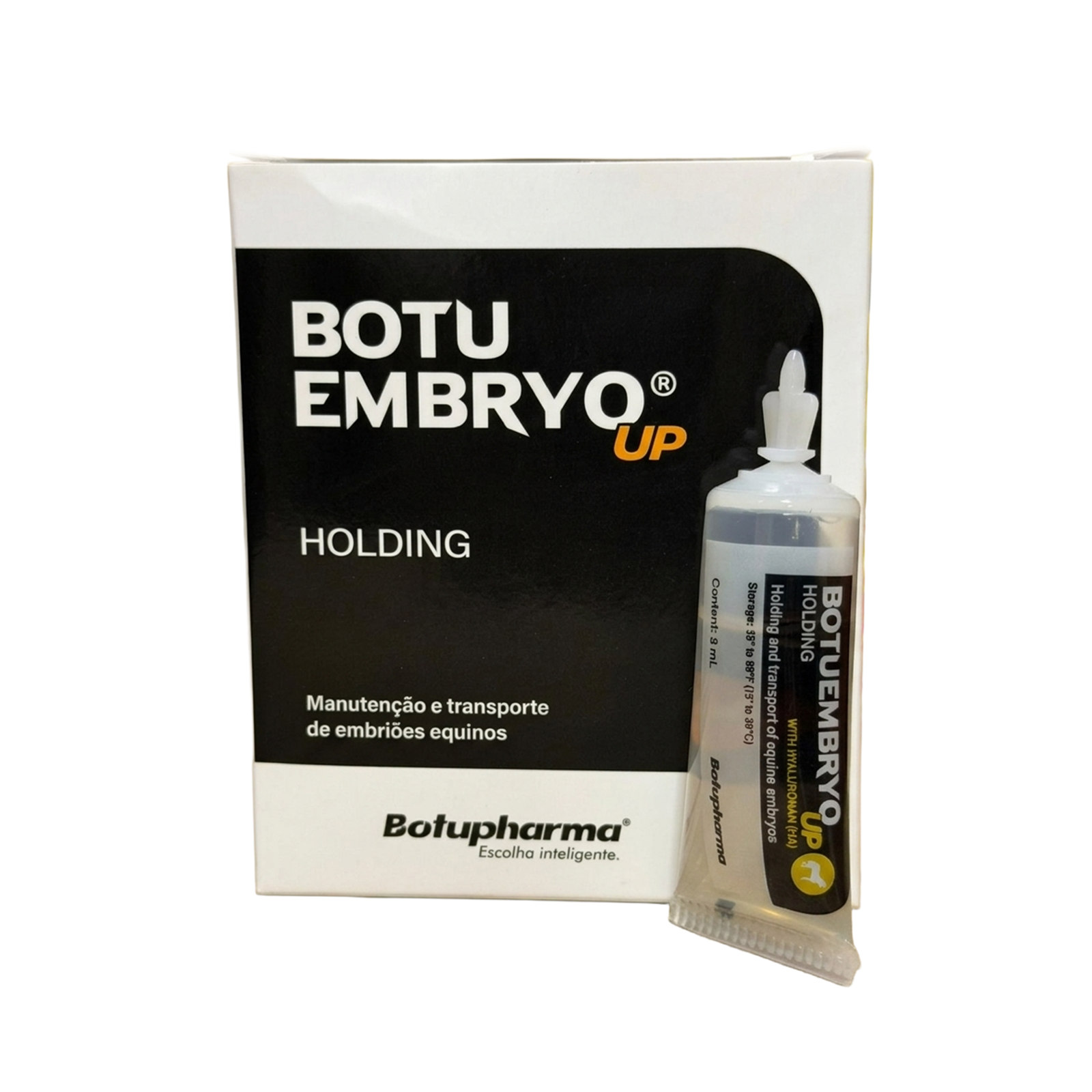 Botuembryo UP