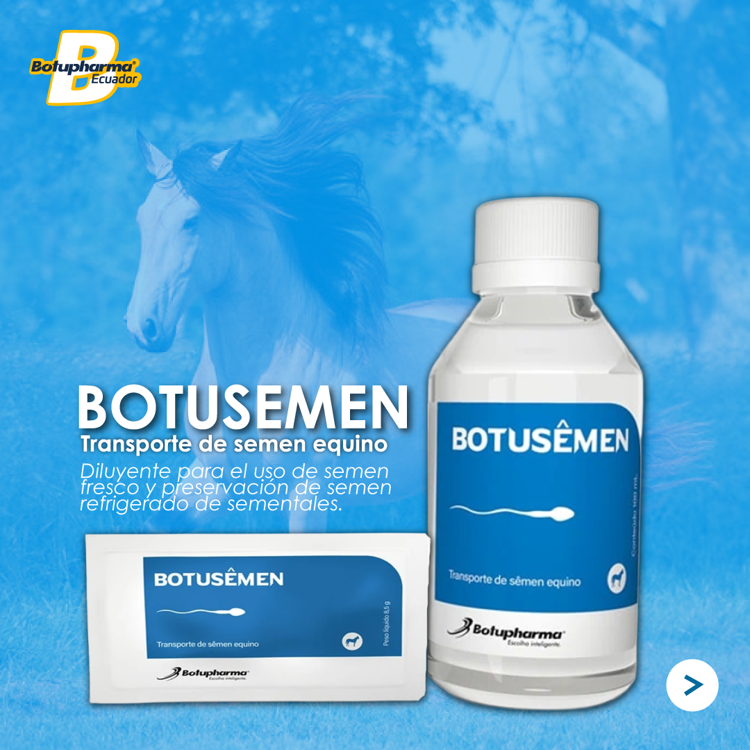 BOTUSEMEN-1