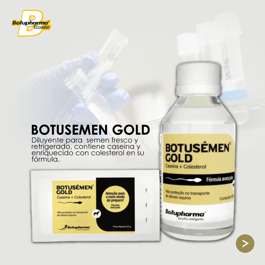 BOTUSEMEN-GOLD-1