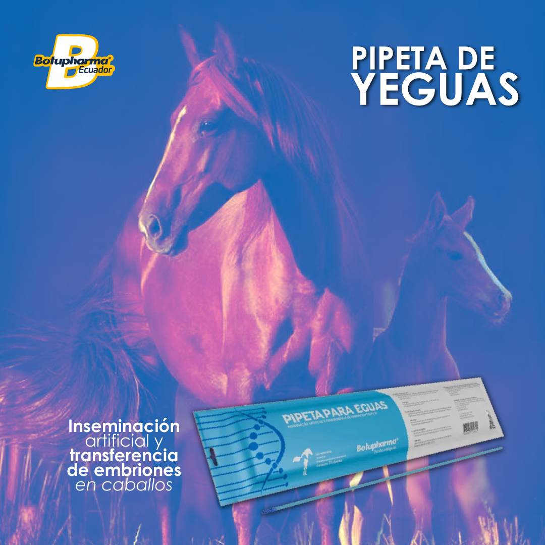 PIPETA-PARA-YEGUAS-1