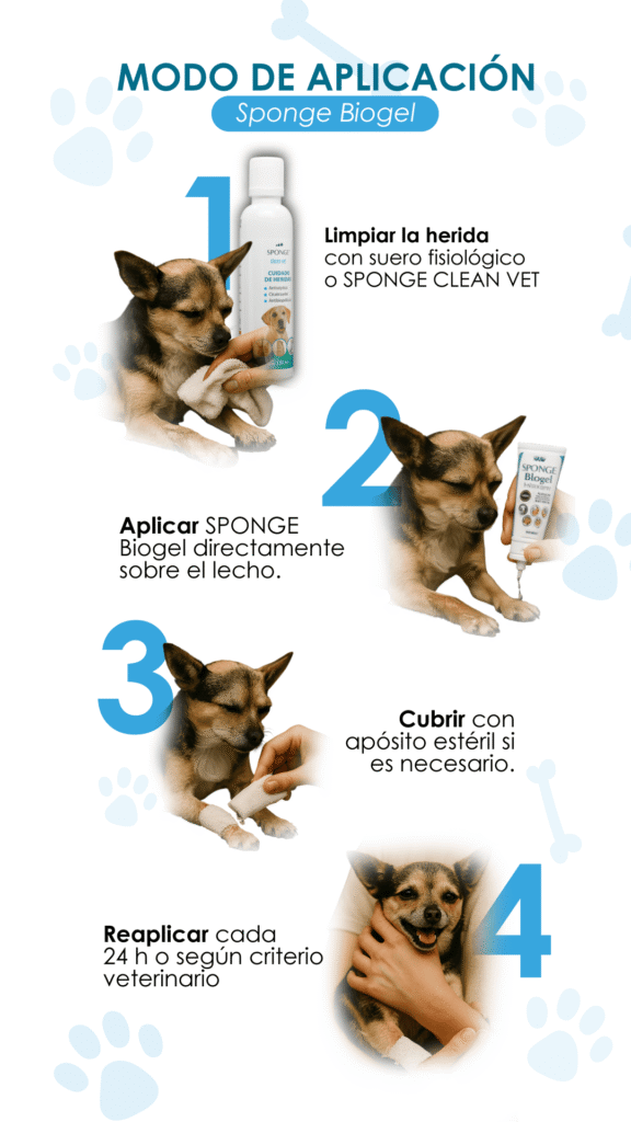 Sponge Biogel, Antimicrobiano, Cicatrizante de heridas, Mascotas