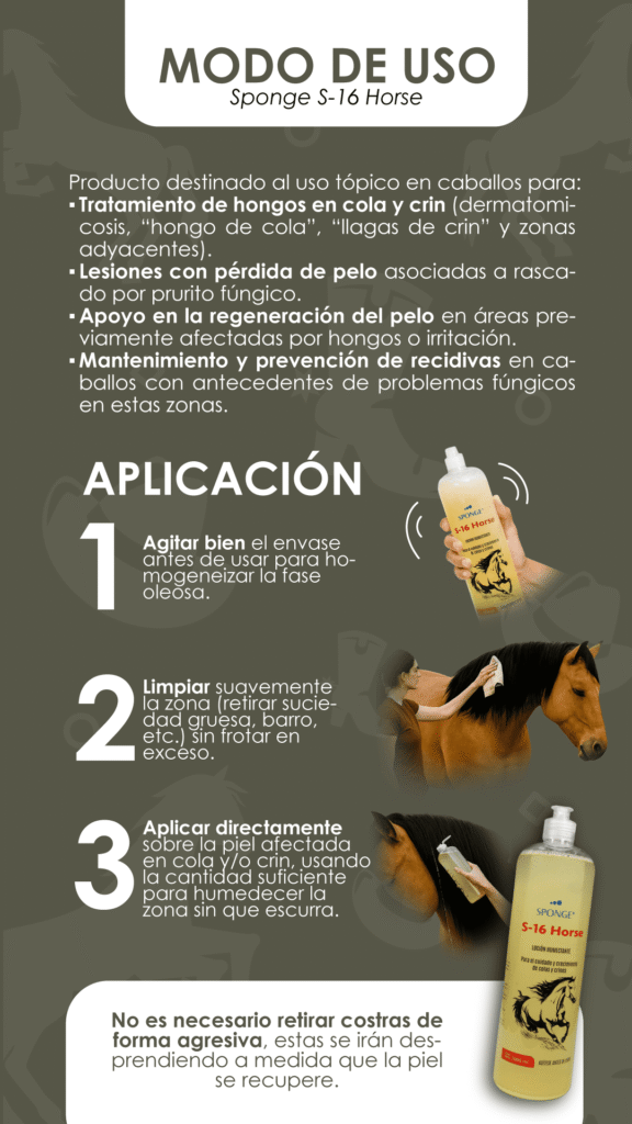 Sponge S-16 Horse, Dermatomicosis, Hongos en colas y crines, Crecimiento de pelo en colas y crines, Equinos