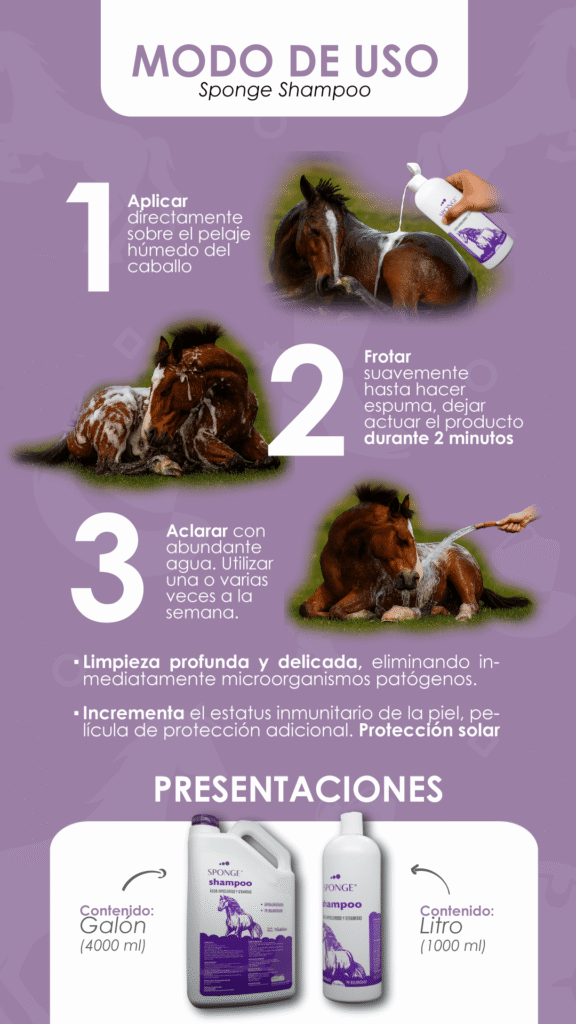 Sponge Shampoo, Dermatitis infecciosas, Protección solar, Equinos