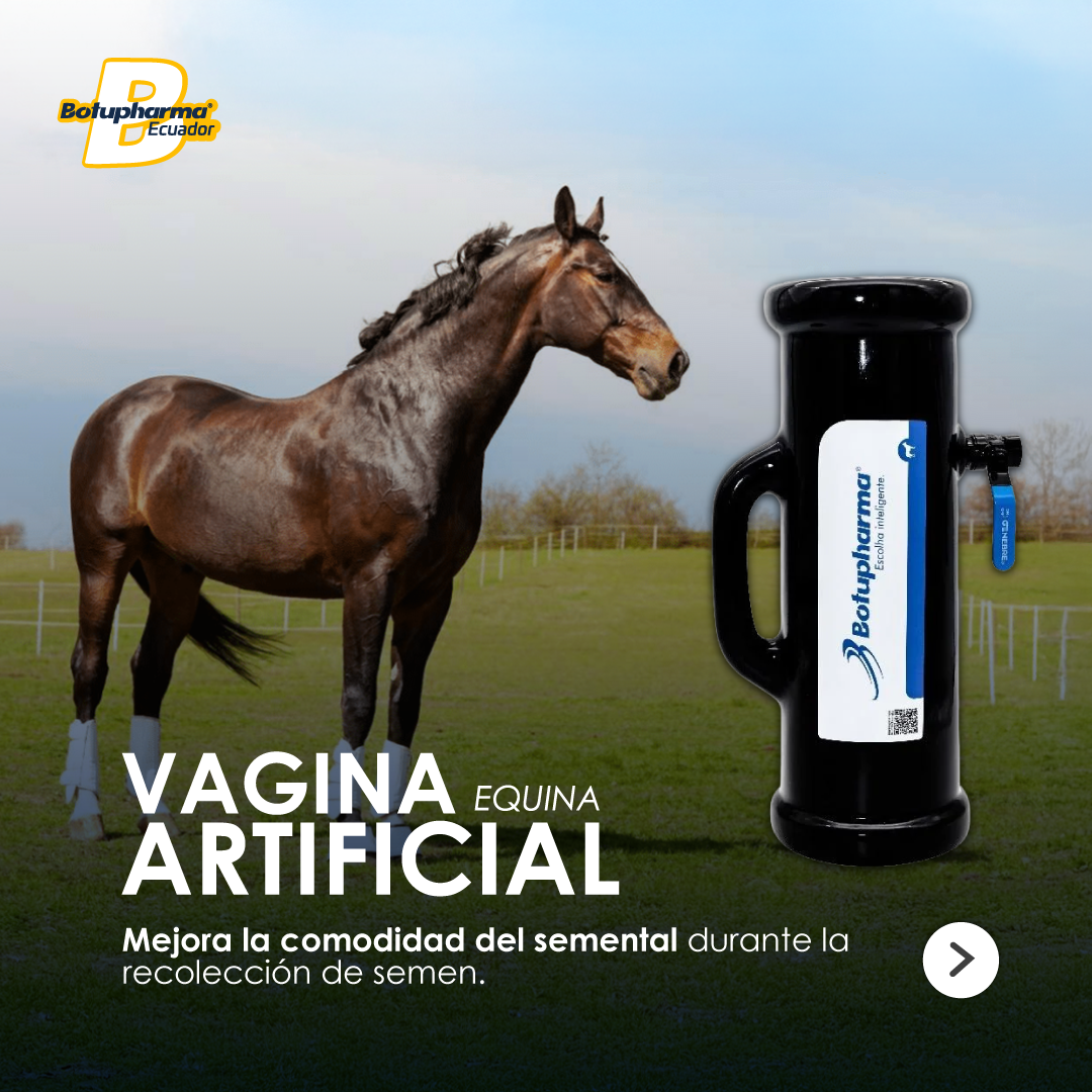 VAGINA-ARTIF.-1