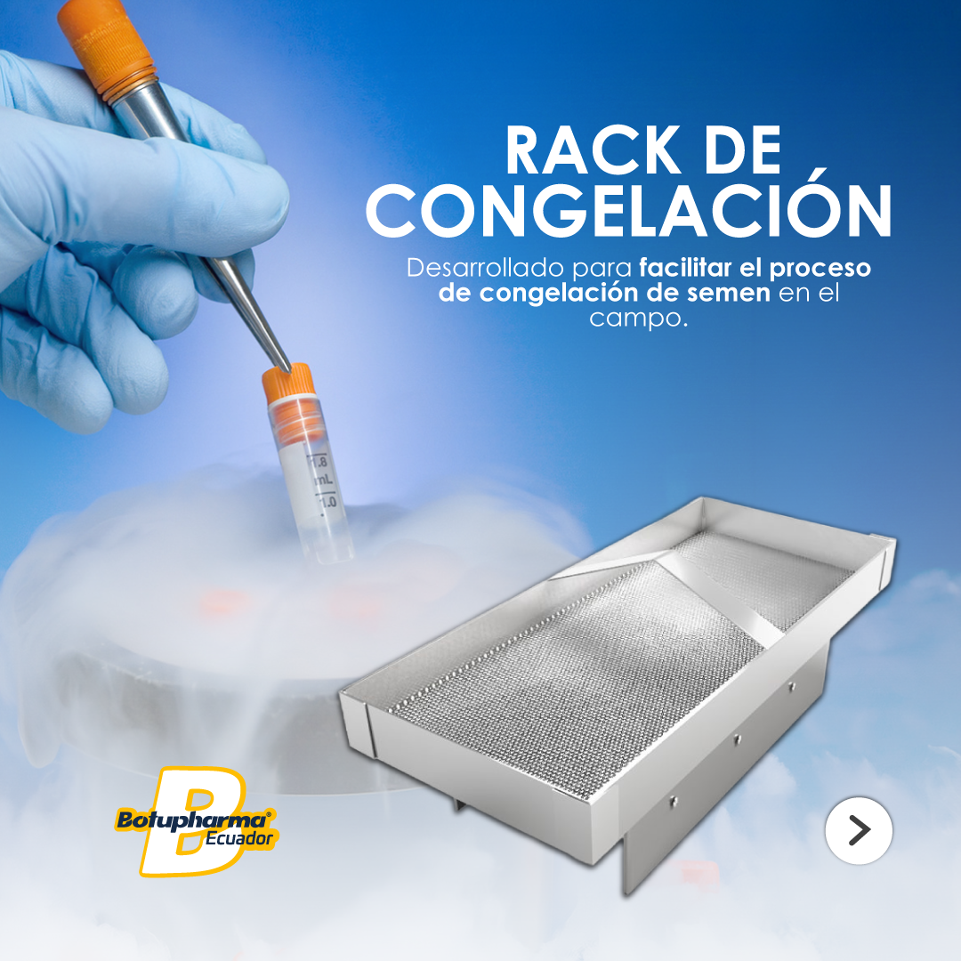 RACK-DE-CONGELACIÓN-post-1