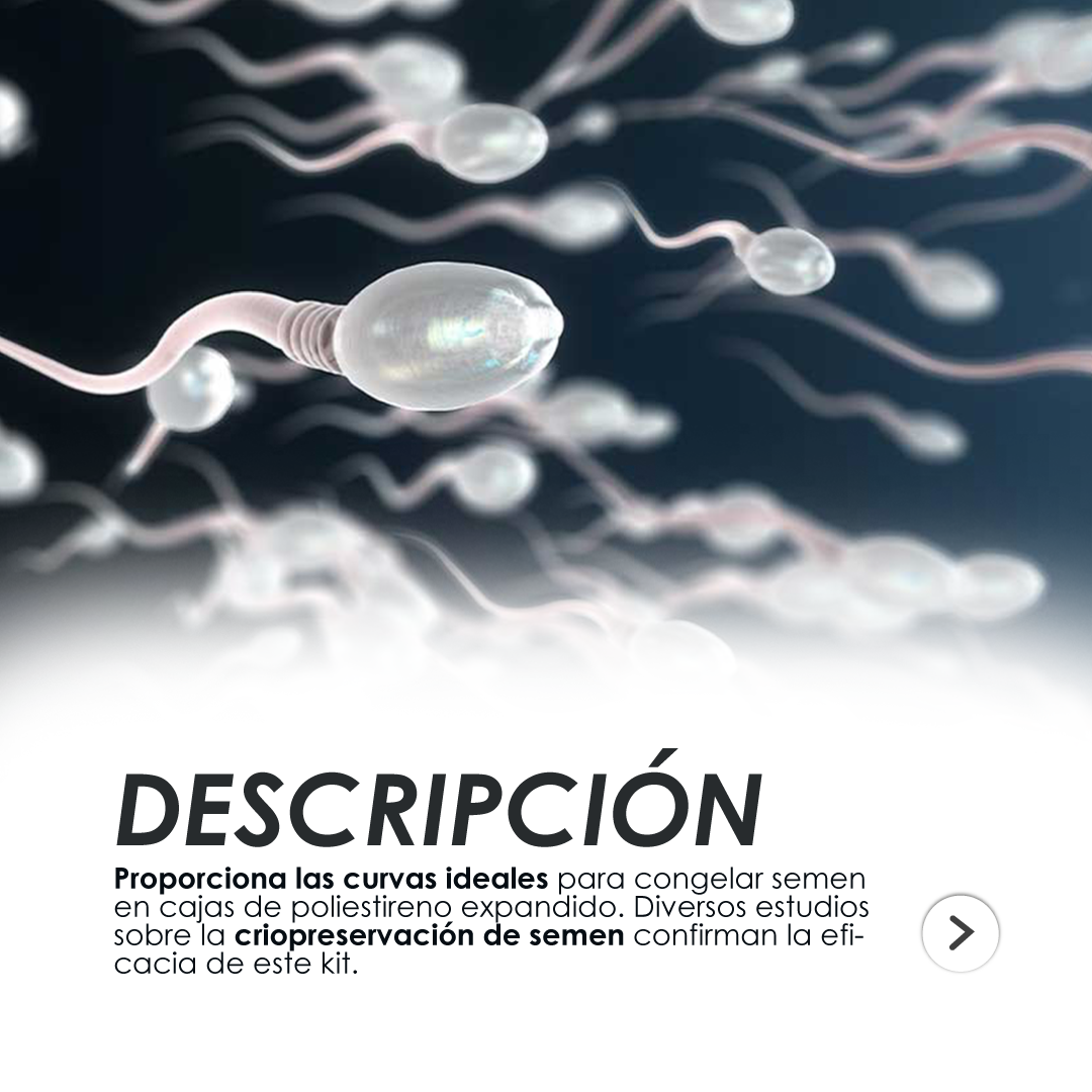 RACK-DE-CONGELACIÓN-post-2