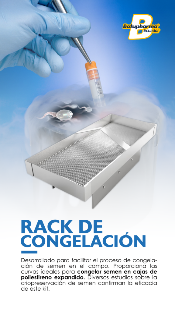 Rack de congelación