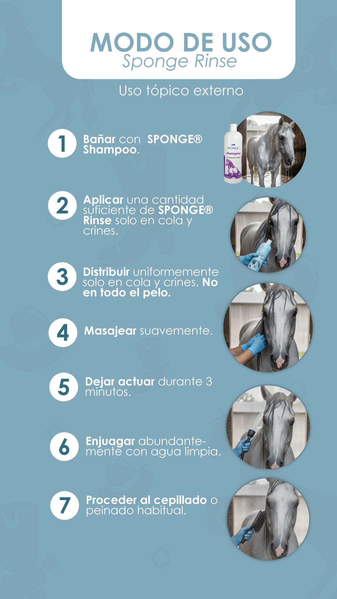 Rinse Caballos